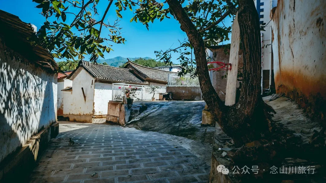 大理巍山翁家丫口村:一段村庄的历史,一个老人的生活,一棵树的光阴 - 第18张