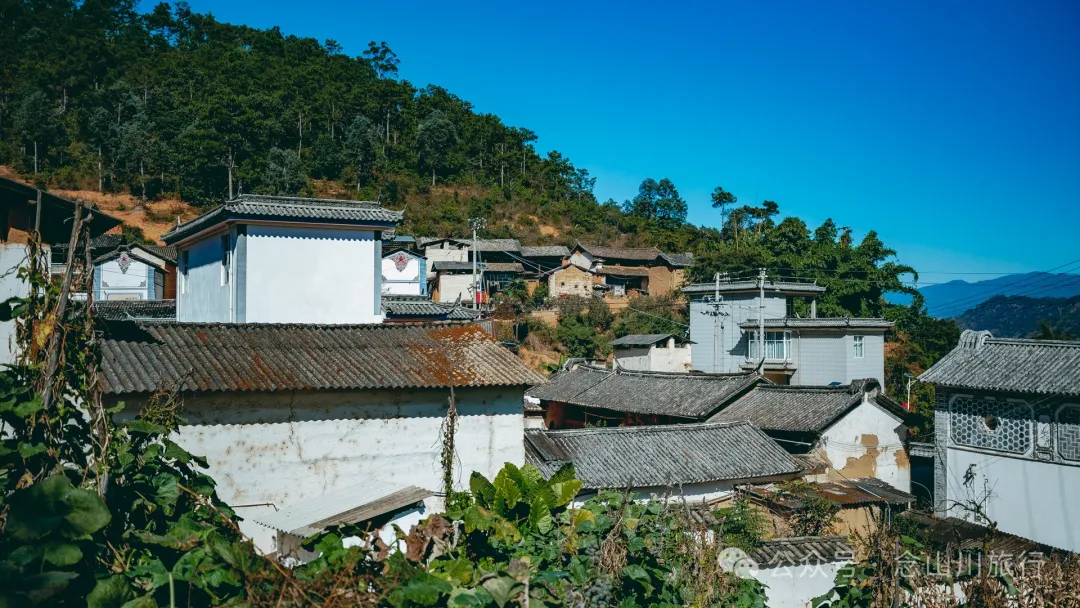 大理巍山翁家丫口村:一段村庄的历史,一个老人的生活,一棵树的光阴 - 第22张