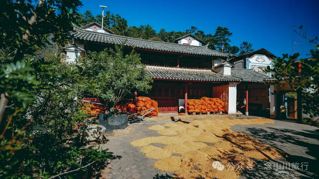 大理巍山翁家丫口村:一段村庄的历史,一个老人的生活,一棵树的光阴 - 第3张