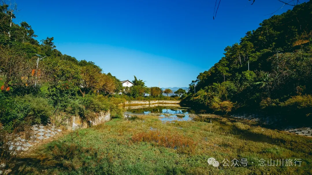 大理巍山翁家丫口村:一段村庄的历史,一个老人的生活,一棵树的光阴 - 第4张