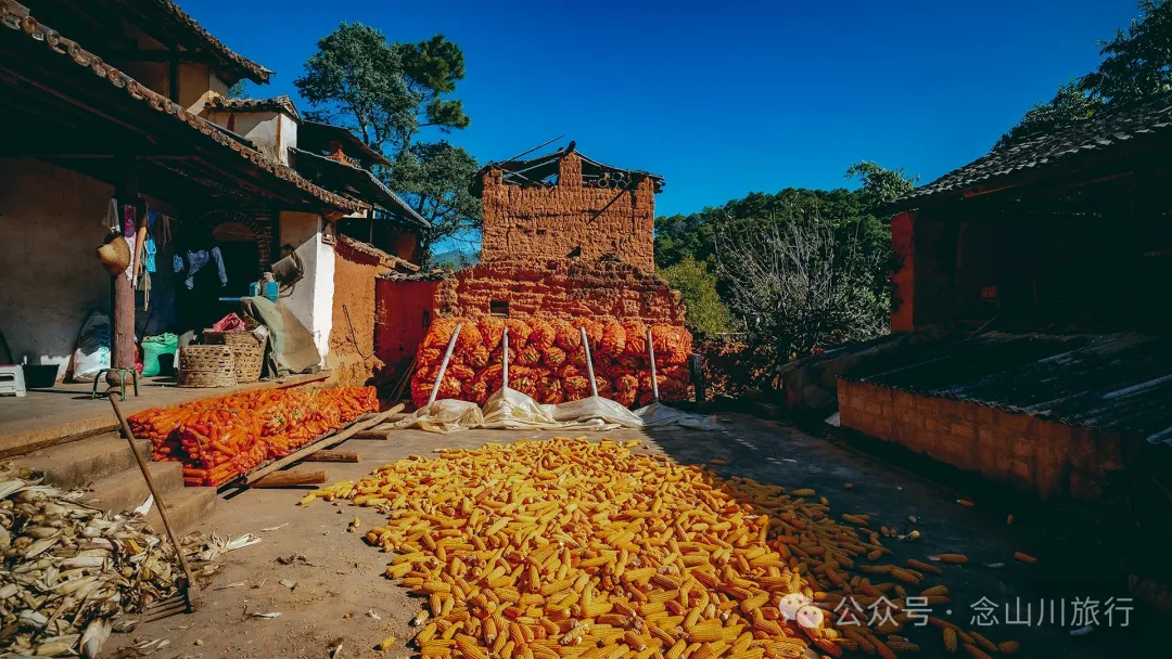 大理巍山翁家丫口村:一段村庄的历史,一个老人的生活,一棵树的光阴 - 第9张