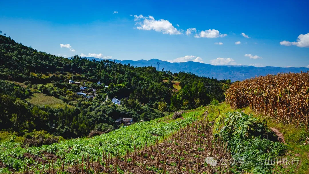 大理巍山小黄草坝:山村里的温暖时光 - 第22张