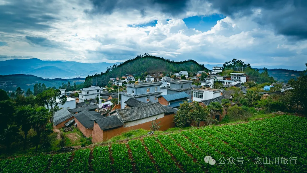 大理巍山小塘子村：山顶池塘边的彝族村庄 - 第3张