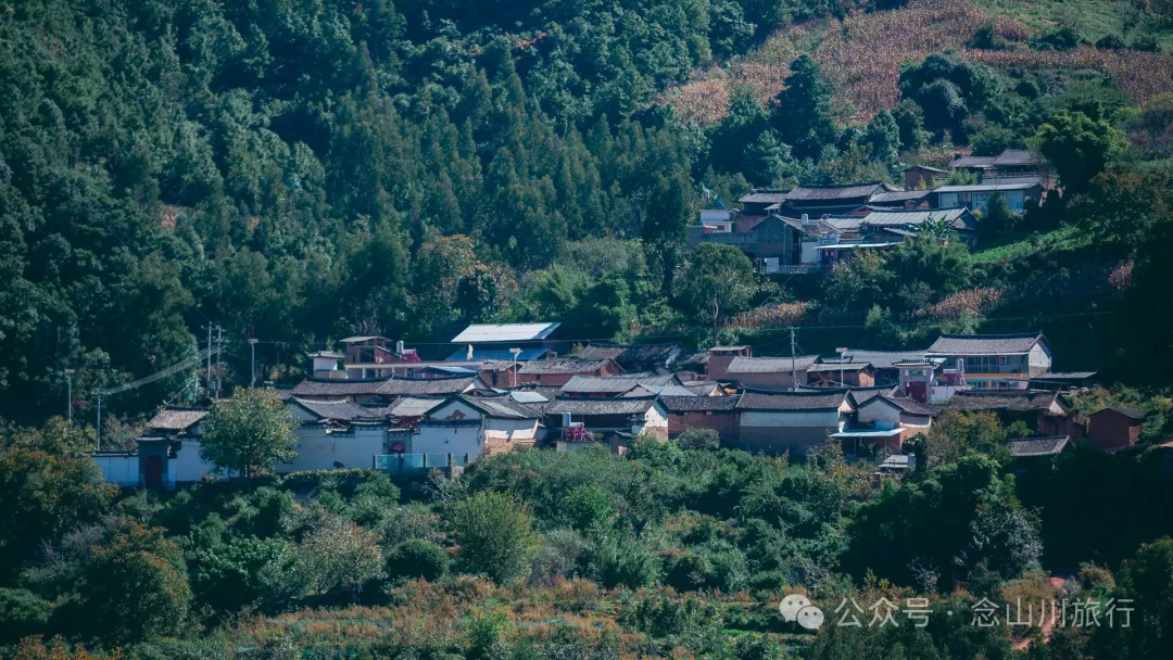 Xiaotizipo Village in Weishan, Dali: A Peaceful Village Guarded by a Sacred Tree - Image 1