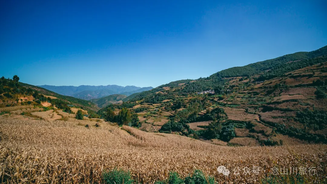 Xiaotizipo Village in Weishan, Dali: A Peaceful Village Guarded by a Sacred Tree - Image 10