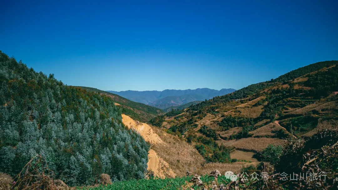 Xiaotizipo Village in Weishan, Dali: A Peaceful Village Guarded by a Sacred Tree - Image 11