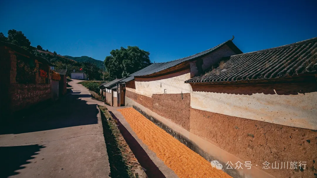 Xiaotizipo Village in Weishan, Dali: A Peaceful Village Guarded by a Sacred Tree - Image 16