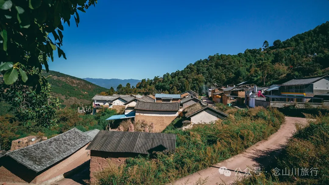 Xiaotizipo Village in Weishan, Dali: A Peaceful Village Guarded by a Sacred Tree - Image 2