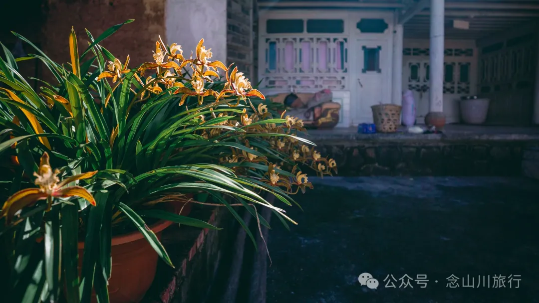 Xiaotizipo Village in Weishan, Dali: A Peaceful Village Guarded by a Sacred Tree - Image 23