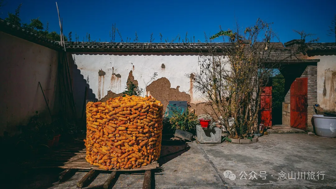 Xiaotizipo Village in Weishan, Dali: A Peaceful Village Guarded by a Sacred Tree - Image 24