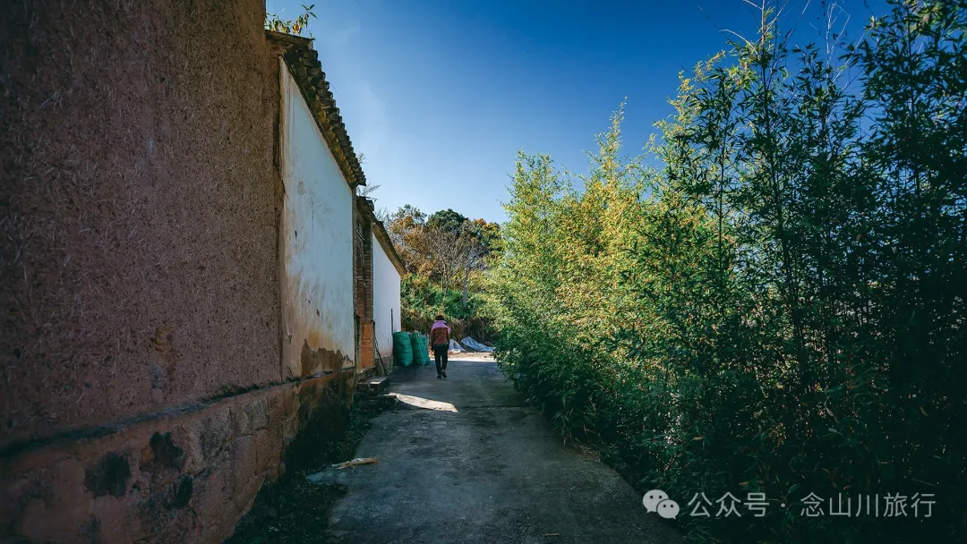 Xiaotizipo Village in Weishan, Dali: A Peaceful Village Guarded by a Sacred Tree - Image 25