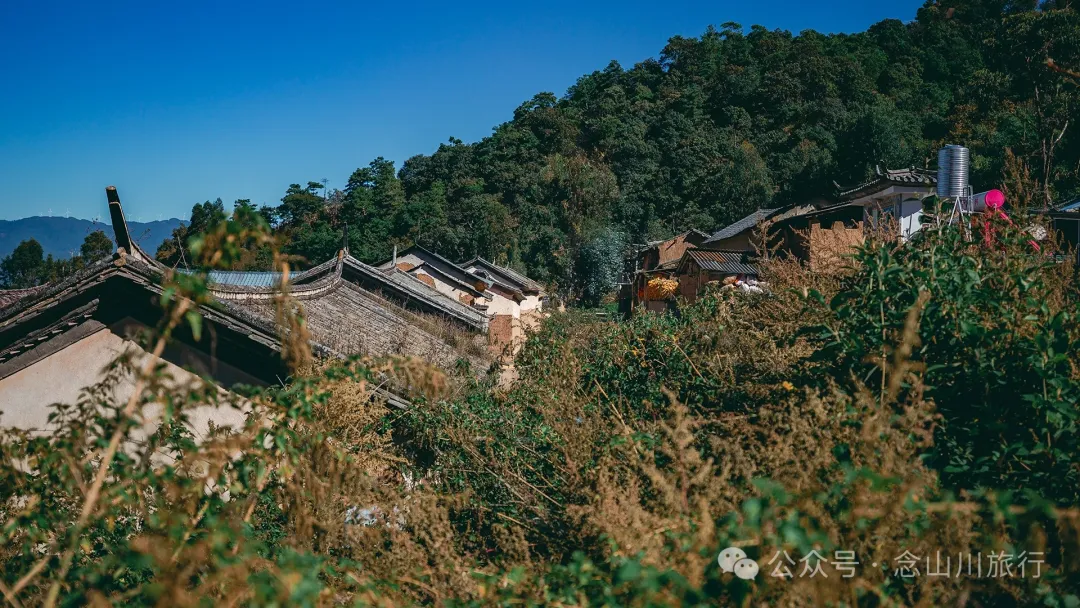 Xiaotizipo Village in Weishan, Dali: A Peaceful Village Guarded by a Sacred Tree - Image 27