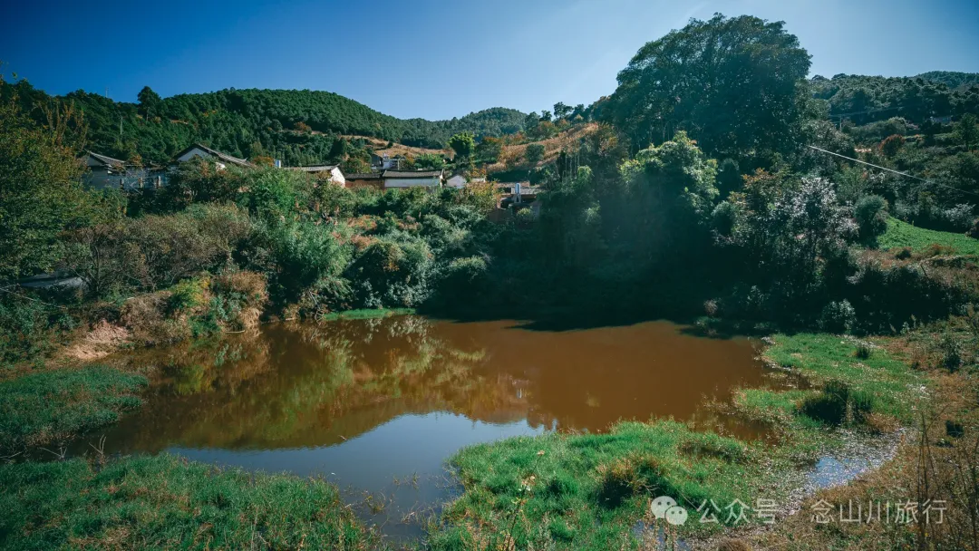 Xiaotizipo Village in Weishan, Dali: A Peaceful Village Guarded by a Sacred Tree - Image 29