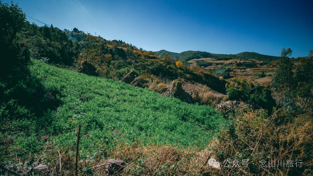 Xiaotizipo Village in Weishan, Dali: A Peaceful Village Guarded by a Sacred Tree - Image 30