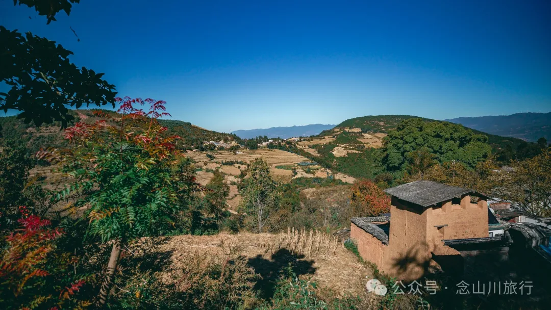 Xiaotizipo Village in Weishan, Dali: A Peaceful Village Guarded by a Sacred Tree - Image 31