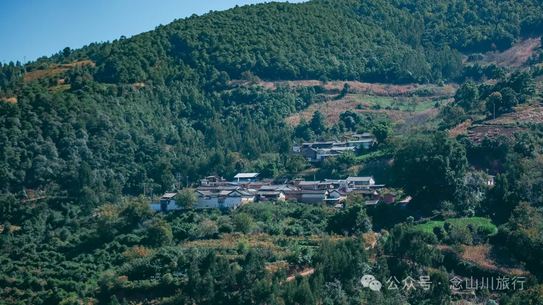 Xiaotizipo Village in Weishan, Dali: A Peaceful Village Guarded by a Sacred Tree - Image 34