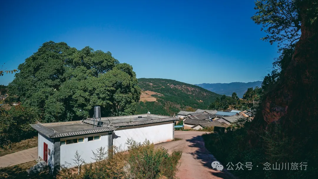 Xiaotizipo Village in Weishan, Dali: A Peaceful Village Guarded by a Sacred Tree - Image 9