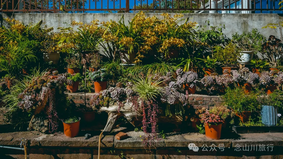 Dali Weishan Caochang Yi Ethnic Village: A Legend, A Touch of Nostalgia, and a Journey into the Indigenous Miku Culture - Image 25