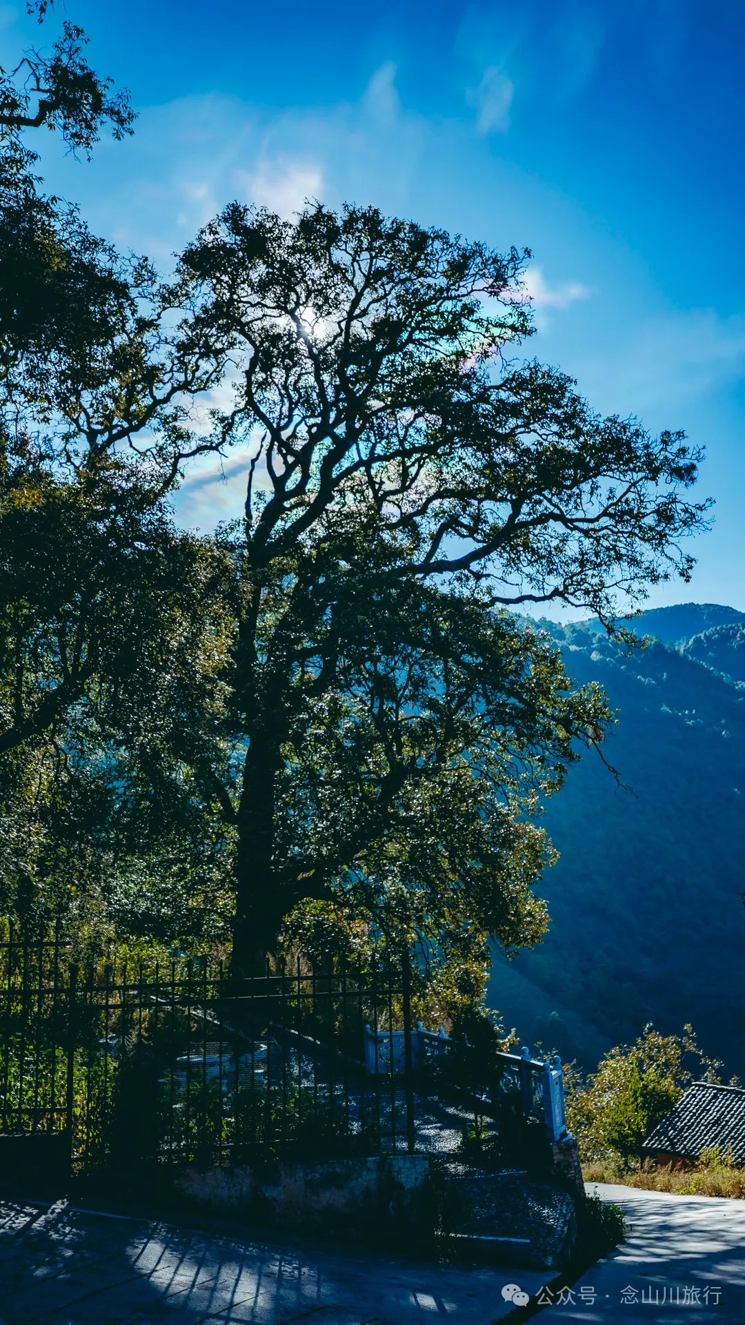 Dali Weishan Caochang Yi Ethnic Village: A Legend, A Touch of Nostalgia, and a Journey into the Indigenous Miku Culture - Image 28