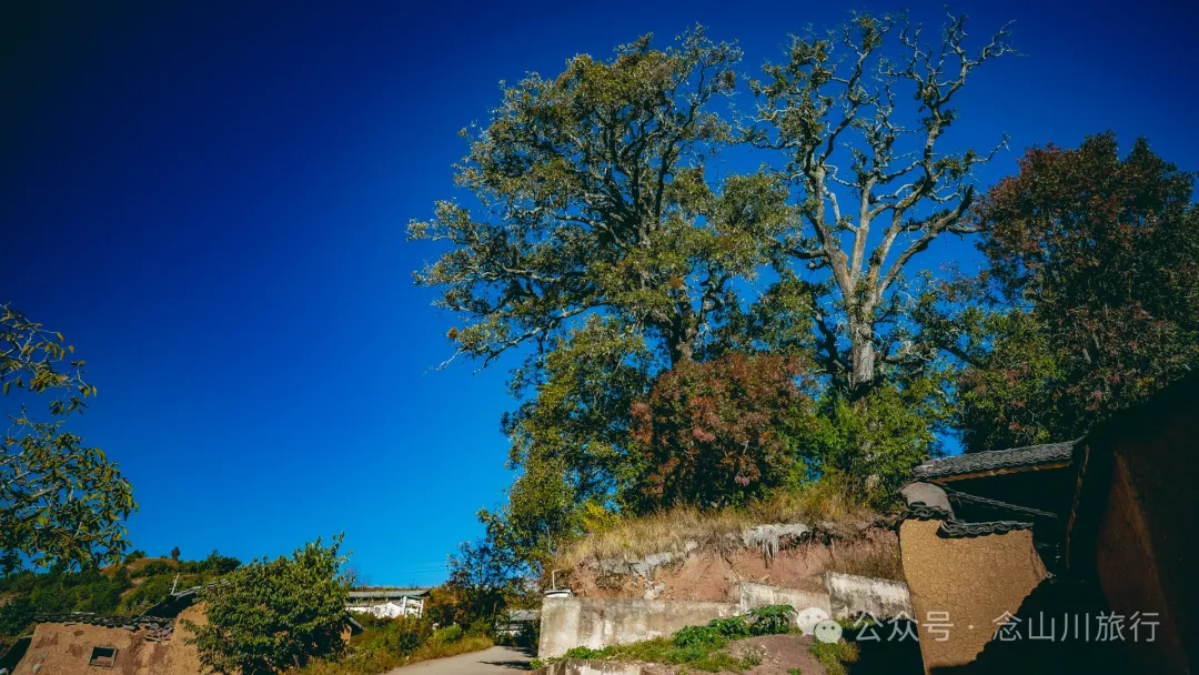 Dali Weishan Caochang Yi Ethnic Village: A Legend, A Touch of Nostalgia, and a Journey into the Indigenous Miku Culture - Image 29