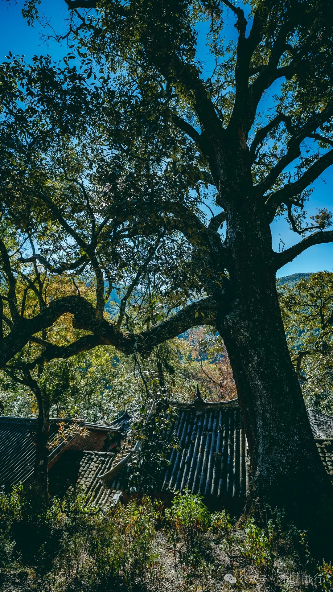 Dali Weishan Caochang Yi Ethnic Village: A Legend, A Touch of Nostalgia, and a Journey into the Indigenous Miku Culture - Image 32