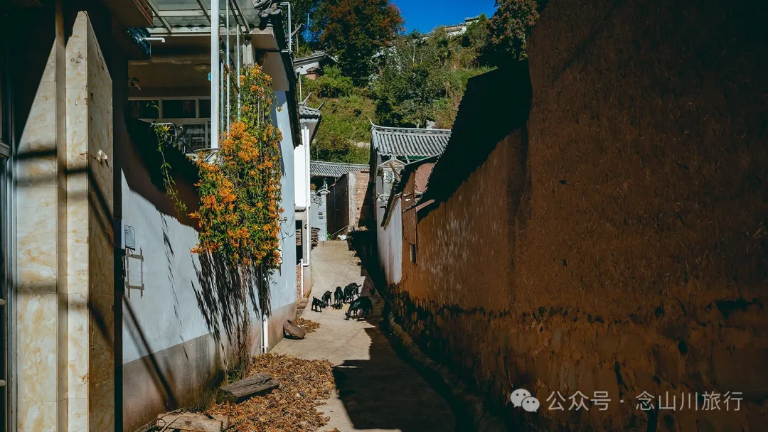 Dali Weishan Caochang Yi Ethnic Village: A Legend, A Touch of Nostalgia, and a Journey into the Indigenous Miku Culture - Image 45