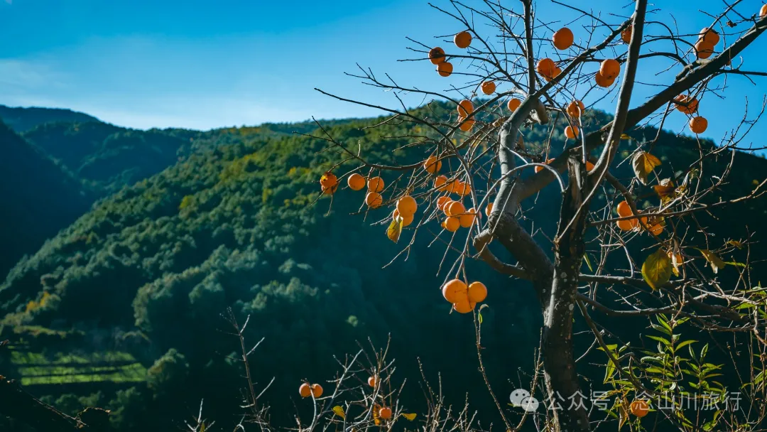Dali Weishan Caochang Yi Ethnic Village: A Legend, A Touch of Nostalgia, and a Journey into the Indigenous Miku Culture - Image 53