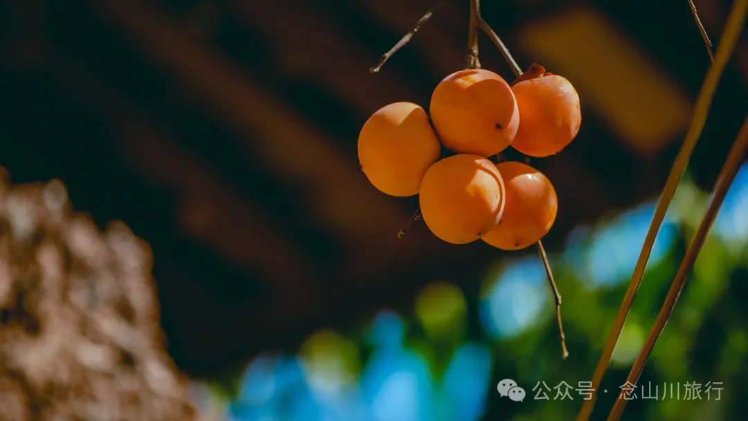 Dali Weishan Caochang Yi Ethnic Village: A Legend, A Touch of Nostalgia, and a Journey into the Indigenous Miku Culture - Image 54