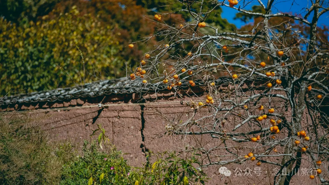 Dali Weishan Caochang Yi Ethnic Village: A Legend, A Touch of Nostalgia, and a Journey into the Indigenous Miku Culture - Image 55