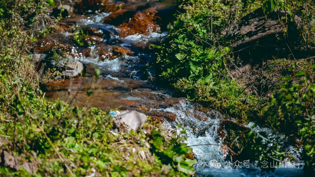 Dali Weishan Caochang Yi Ethnic Village: A Legend, A Touch of Nostalgia, and a Journey into the Indigenous Miku Culture - Image 66