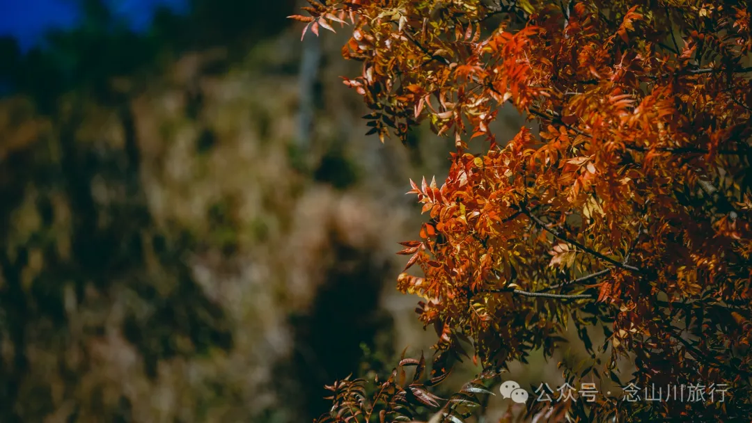 Dali Weishan Caochang Yi Ethnic Village: A Legend, A Touch of Nostalgia, and a Journey into the Indigenous Miku Culture - Image 67