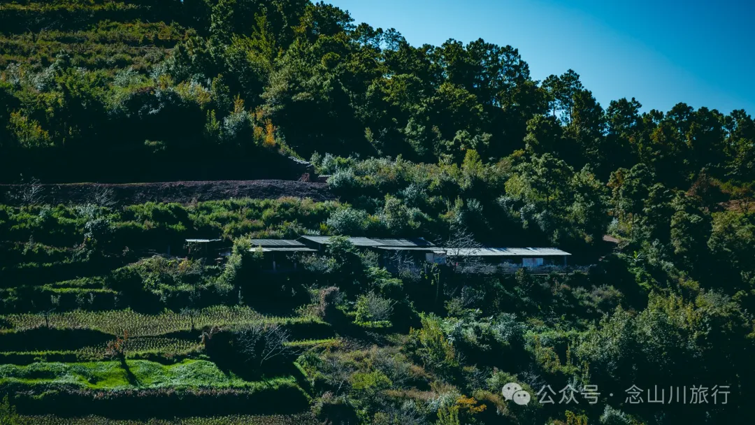 Dali Weishan Caochang Yi Ethnic Village: A Legend, A Touch of Nostalgia, and a Journey into the Indigenous Miku Culture - Image 72