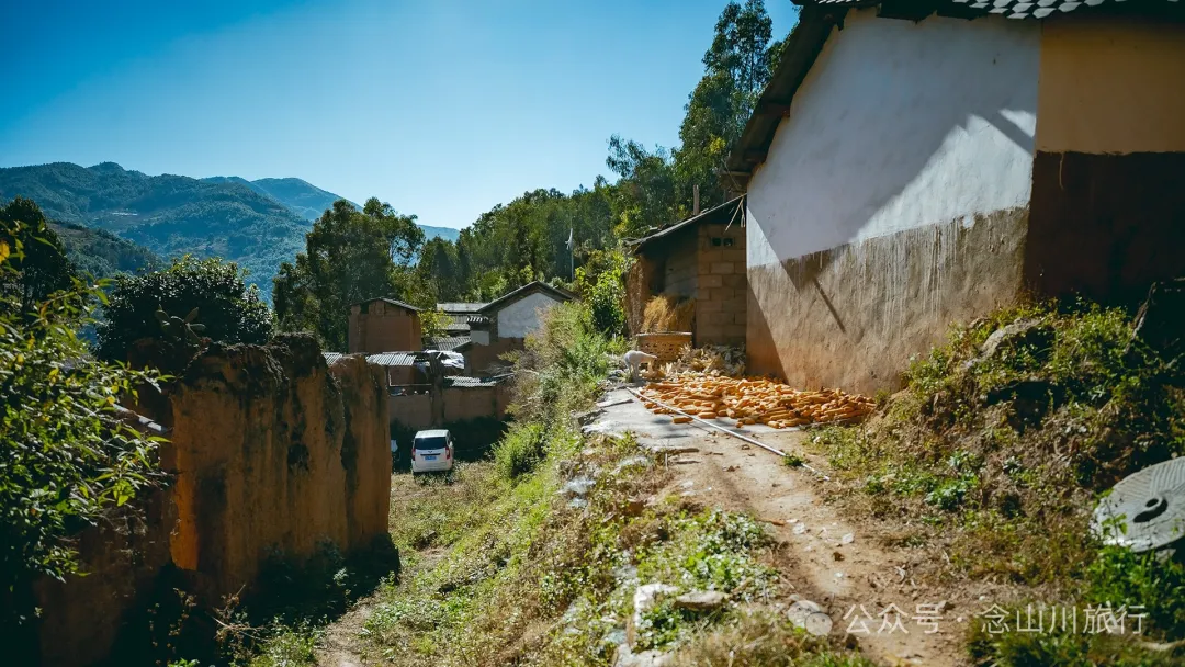 大理巍山大梯子坡村:树树皆秋色,山山唯落晖,走入村庄,就走进了王绩的《野望》里 - 第16张