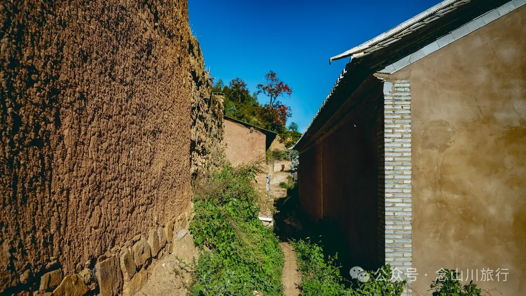 大理巍山大梯子坡村:树树皆秋色,山山唯落晖,走入村庄,就走进了王绩的《野望》里 - 第2张