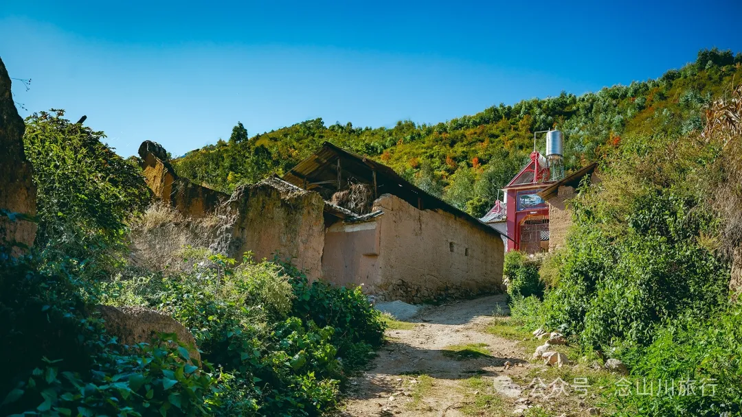 大理巍山大梯子坡村:树树皆秋色,山山唯落晖,走入村庄,就走进了王绩的《野望》里 - 第21张