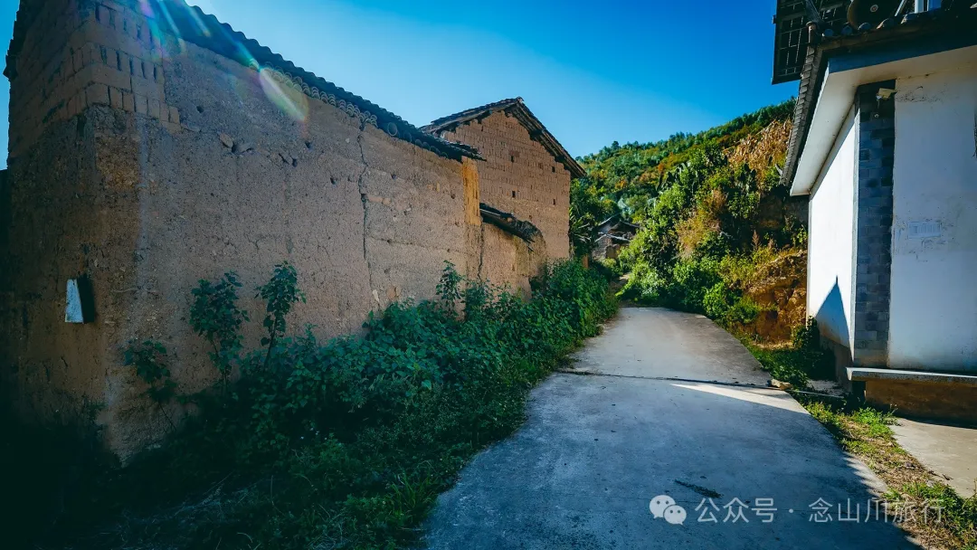 大理巍山大梯子坡村:树树皆秋色,山山唯落晖,走入村庄,就走进了王绩的《野望》里 - 第23张