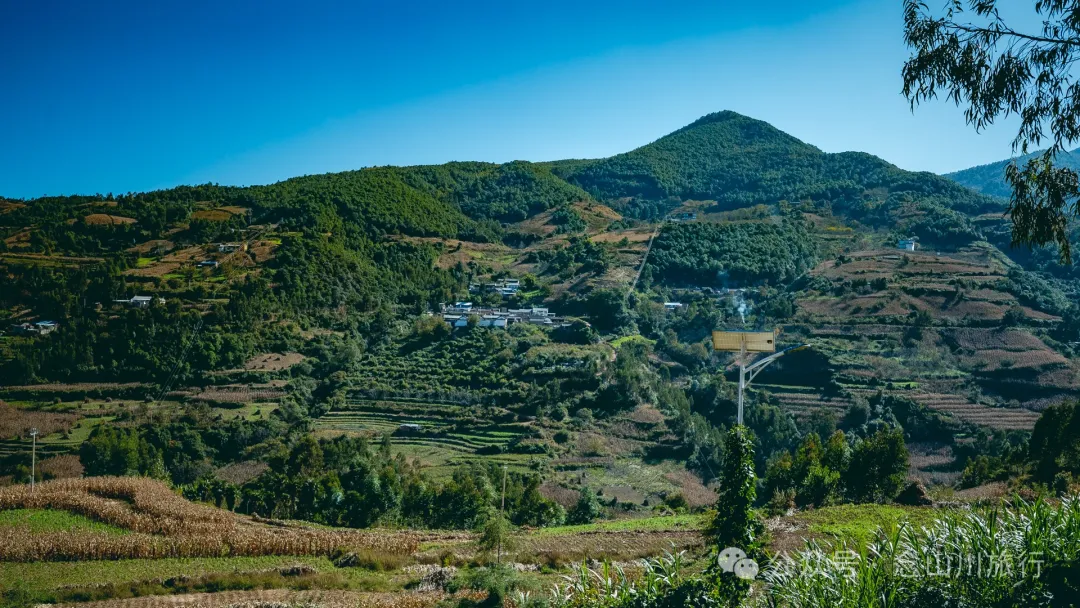 大理巍山大梯子坡村:树树皆秋色,山山唯落晖,走入村庄,就走进了王绩的《野望》里 - 第24张