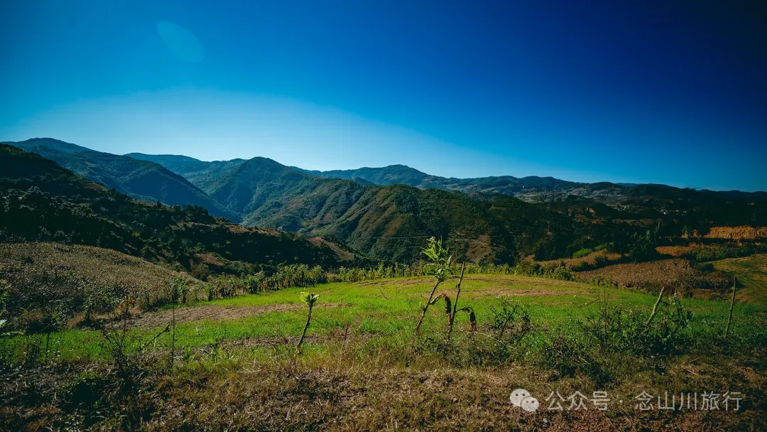 大理巍山大梯子坡村:树树皆秋色,山山唯落晖,走入村庄,就走进了王绩的《野望》里 - 第4张