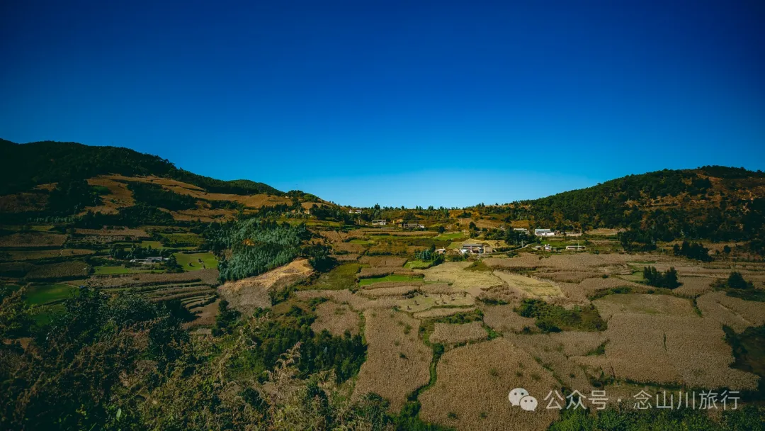 大理巍山大梯子坡村:树树皆秋色,山山唯落晖,走入村庄,就走进了王绩的《野望》里 - 第6张