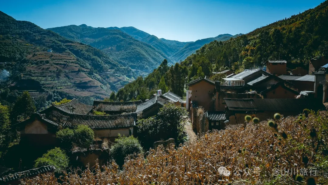 大理巍山大梯子坡村:树树皆秋色,山山唯落晖,走入村庄,就走进了王绩的《野望》里 - 第9张