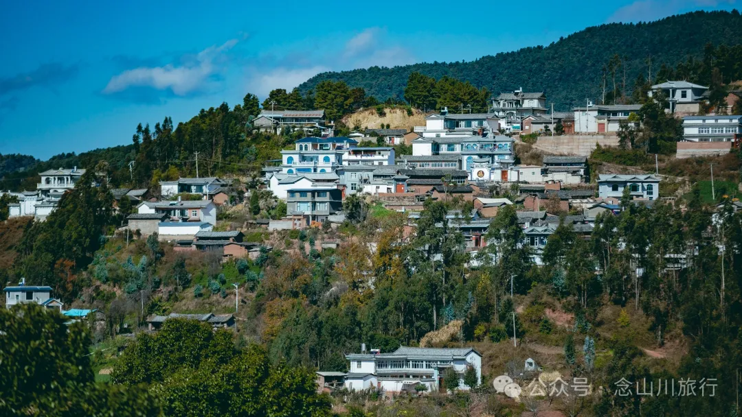 古树藏幽泉，赏花正当时：大理巍山小塘子村的周末露营时光 - 第22张
