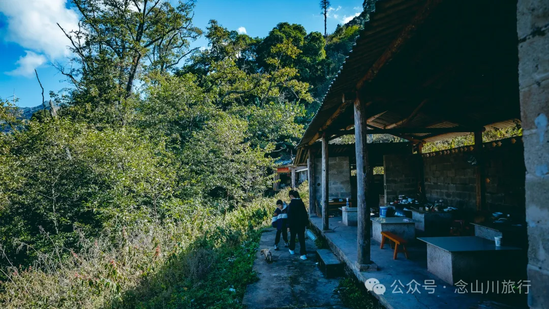 古树藏幽泉，赏花正当时：大理巍山小塘子村的周末露营时光 - 第6张