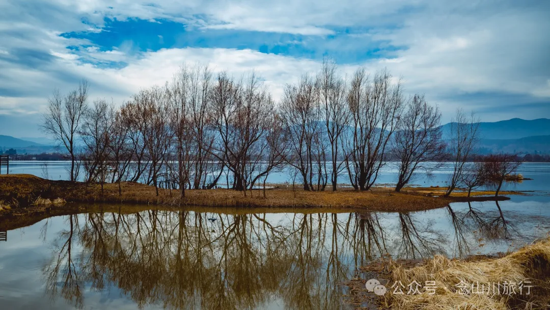 我在这个高原湖泊找到了大理最美的冬日湖景,这里有媲美瓦尔登湖的野性 - 第19张