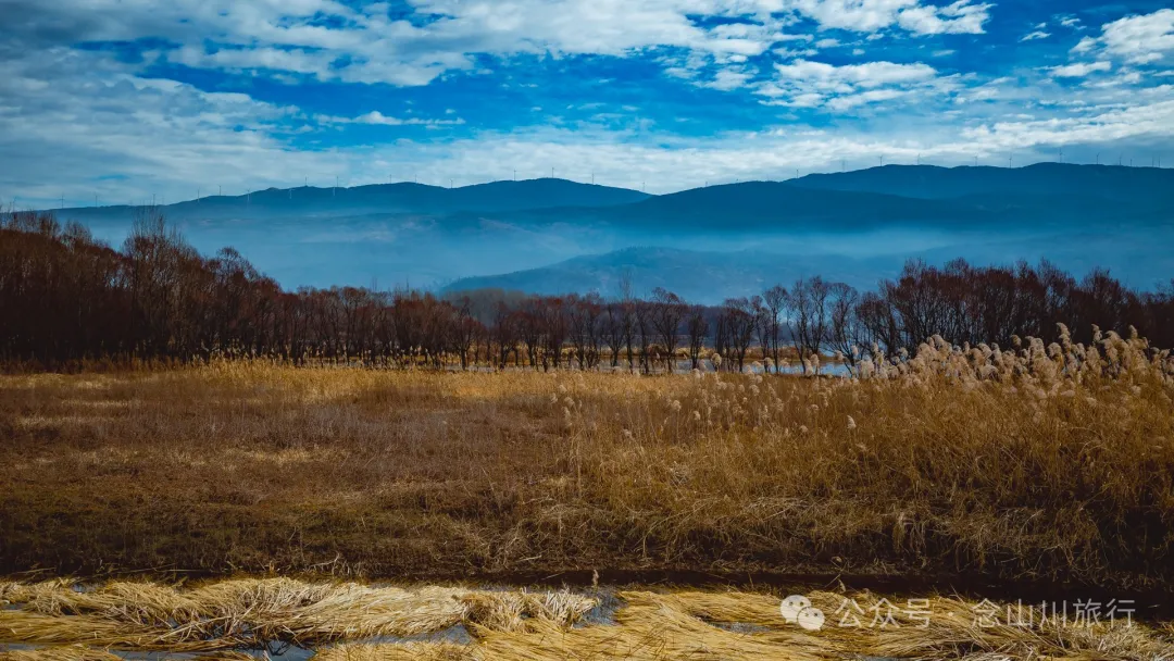 我在这个高原湖泊找到了大理最美的冬日湖景,这里有媲美瓦尔登湖的野性 - 第26张
