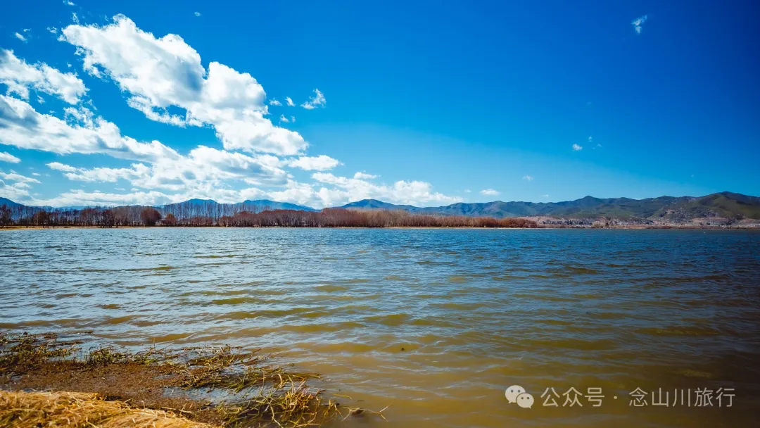 我在这个高原湖泊找到了大理最美的冬日湖景,这里有媲美瓦尔登湖的野性 - 第4张