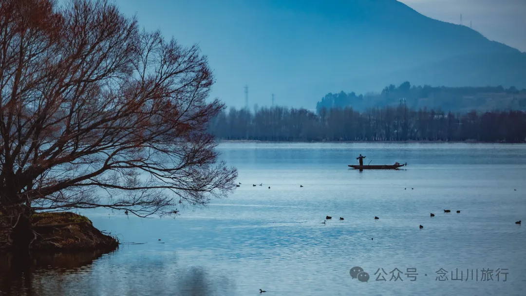 我在这个高原湖泊找到了大理最美的冬日湖景,这里有媲美瓦尔登湖的野性 - 第8张