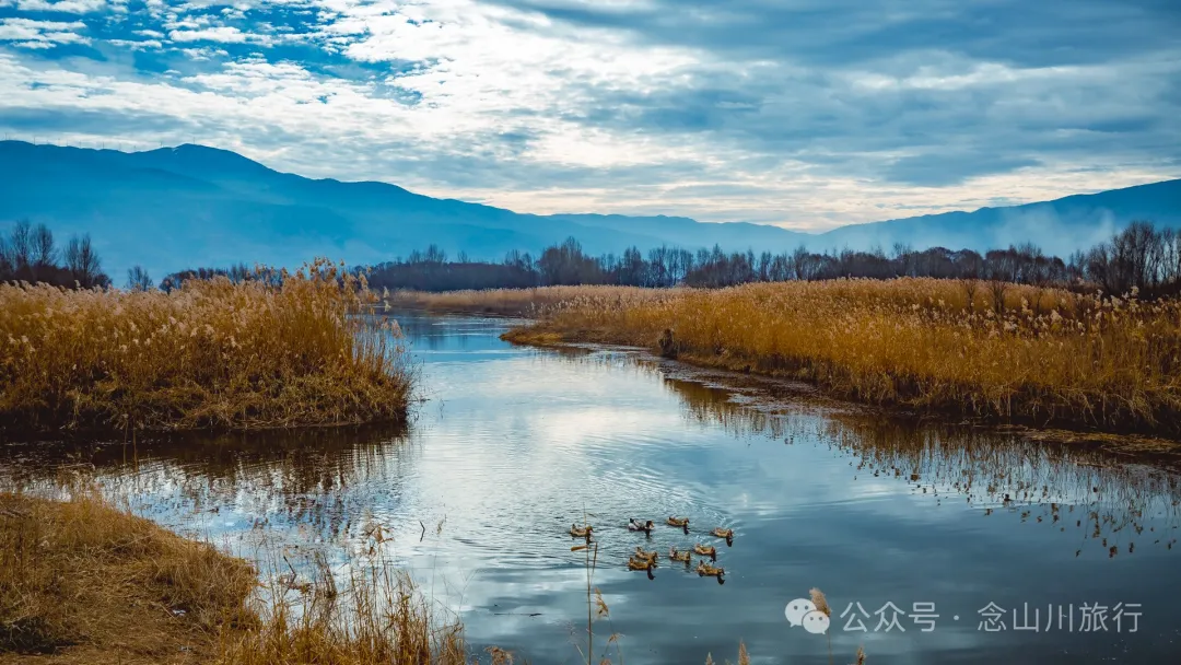 我在这个高原湖泊找到了大理最美的冬日湖景,这里有媲美瓦尔登湖的野性 - 第9张