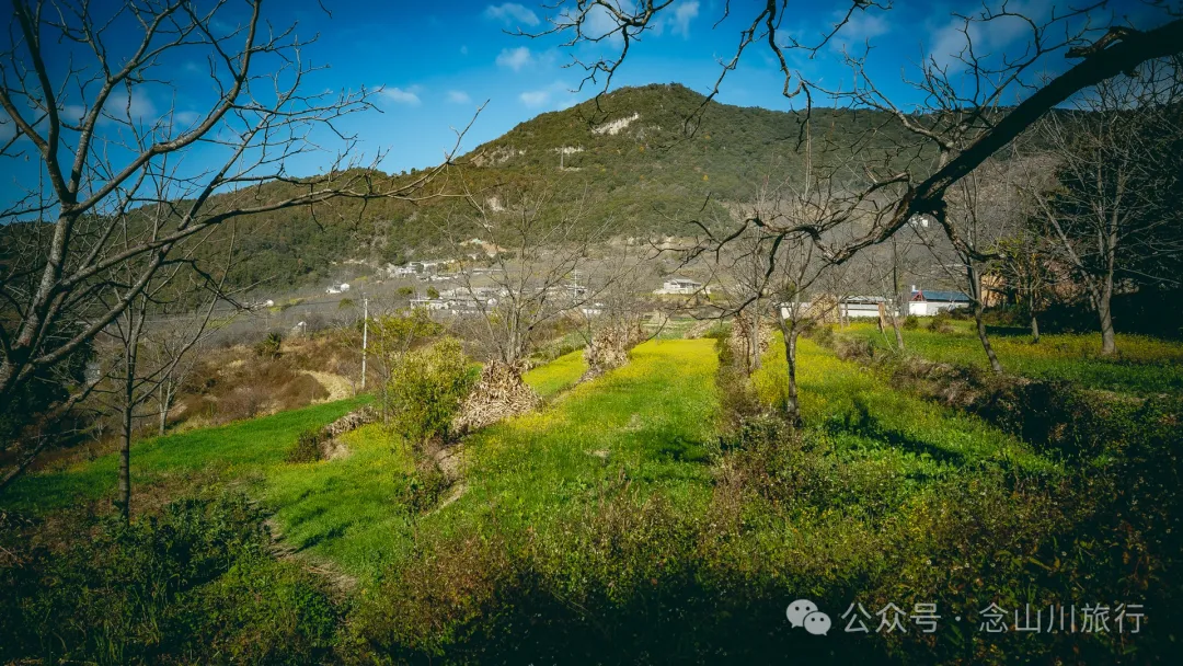 大理巍山金沙坪村:紫金山下,坐看云海夕阳的宁静村庄 - 第11张