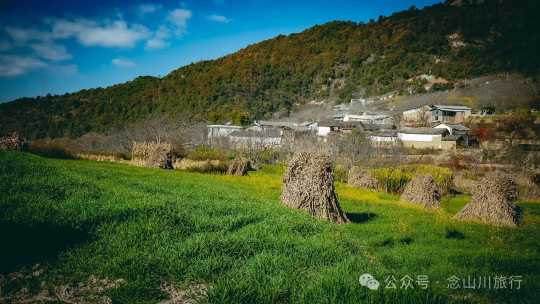 大理巍山金沙坪村:紫金山下,坐看云海夕阳的宁静村庄 - 第12张