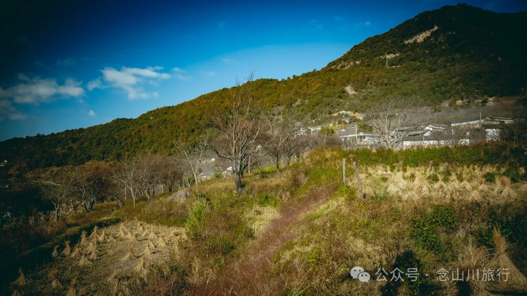 大理巍山金沙坪村:紫金山下,坐看云海夕阳的宁静村庄 - 第13张